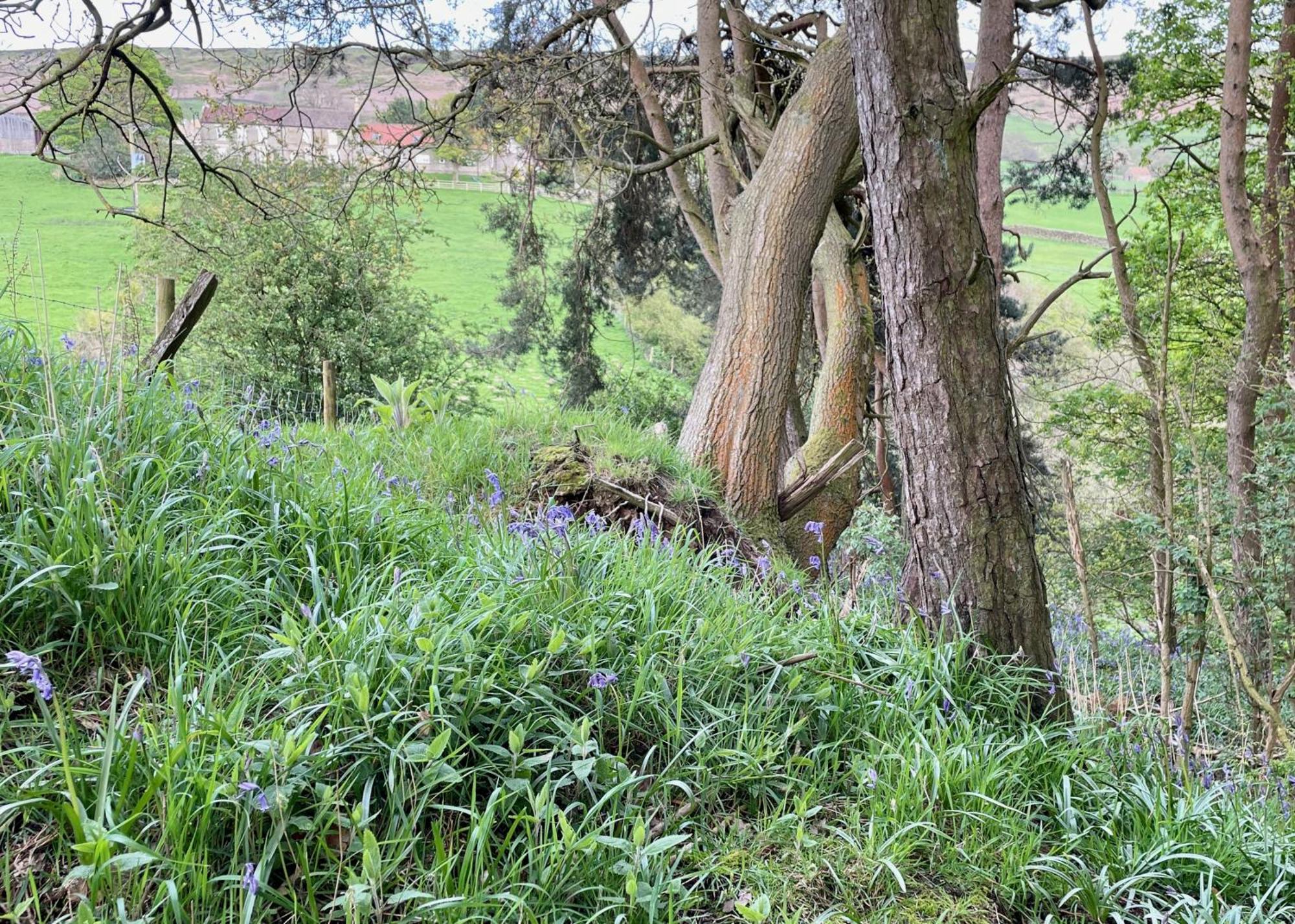 Church House Farm *