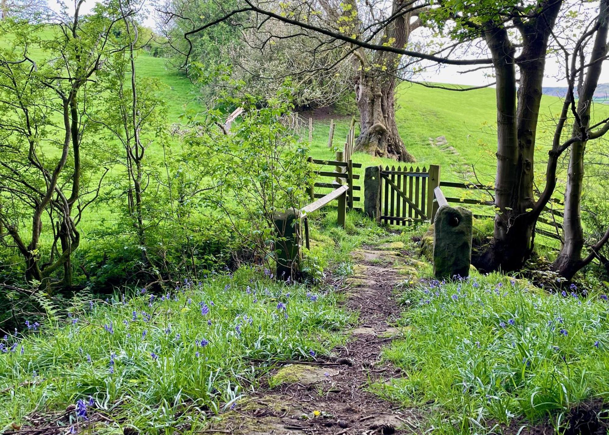 Church House Farm Danby